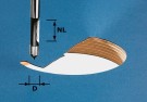Festool Wiertłofrez HW S8 D8/19 491037