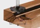 Festool Frez profilowy HW S8 D42/13/R6+12 491137